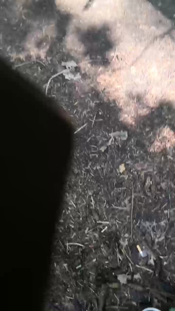 danskarsgard1  02-09-2021 Recorded Video XXX